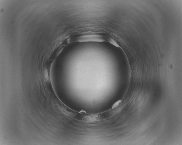 X0000075400089200609081306