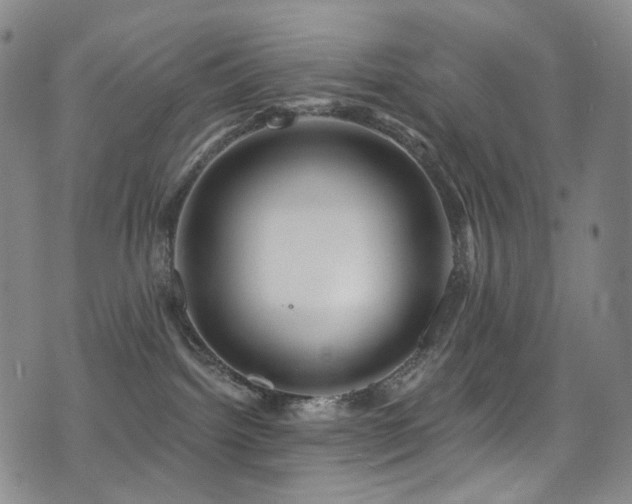 X0000075400092200609081306