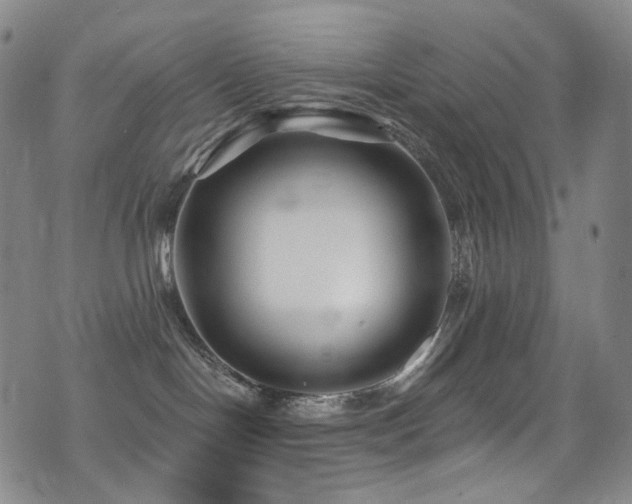 X0000075400094200609081306