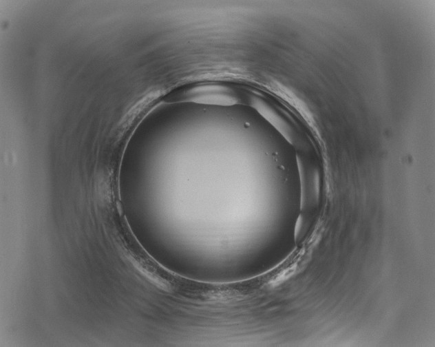 X0000075400105200609081305