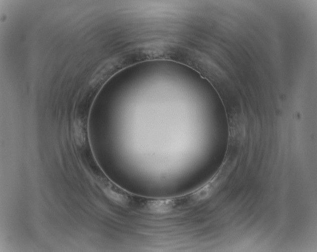 X0000075400136200609081304