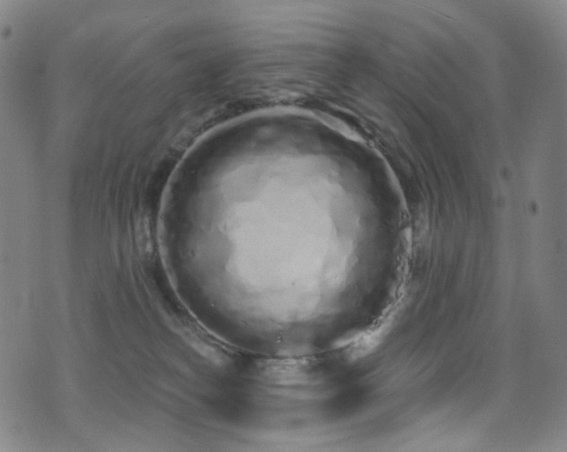 X0000075400182200609081304