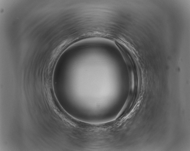 X0000075400193200609081304