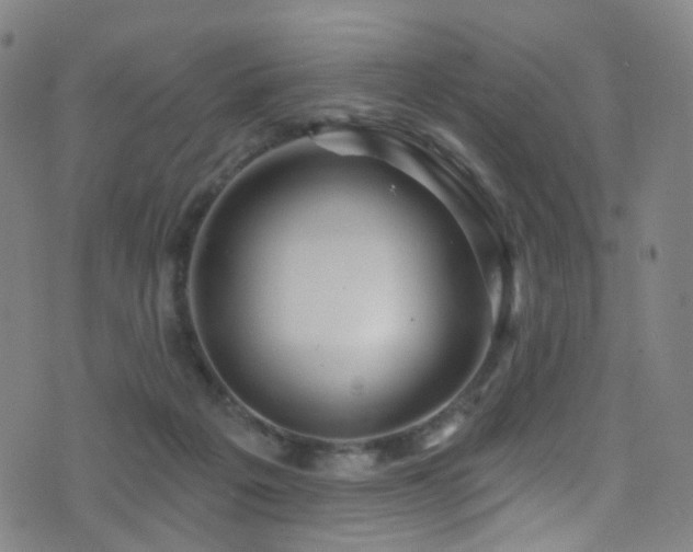 X0000075400217200609081303