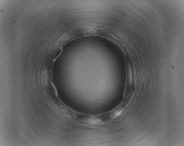X0000075400223200609081303