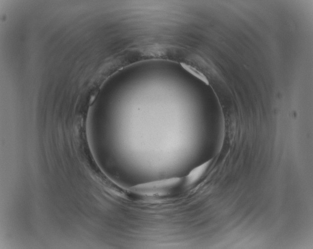 X0000075400229200609081303
