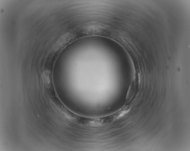 X0000075400232200609081303