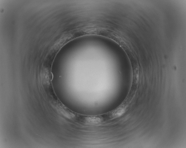 X0000075400234200609081303
