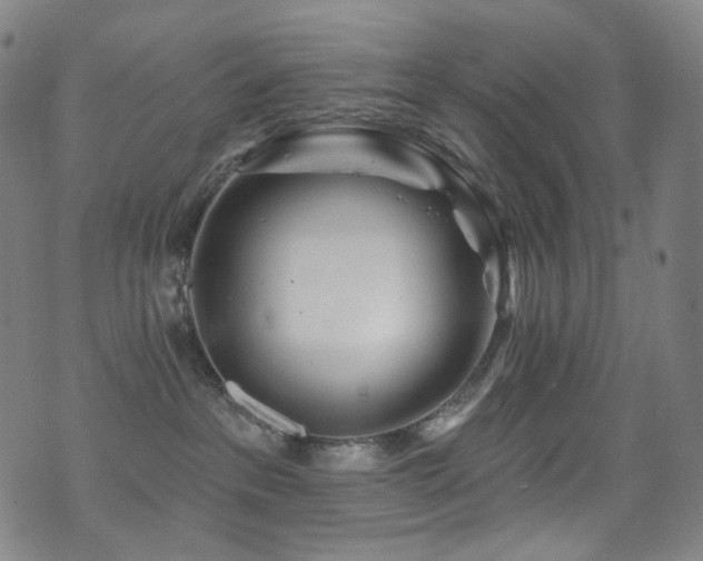 X0000075400237200609081303