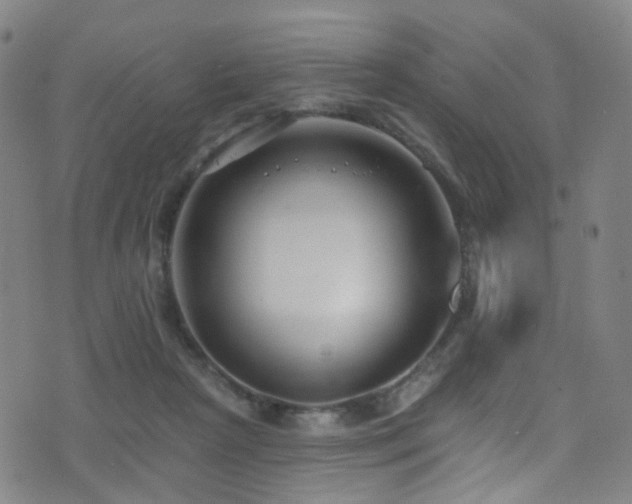 X0000075400265200609081302