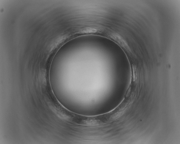X0000075400300200609081302