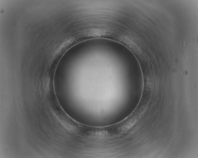 X0000075400304200609081302