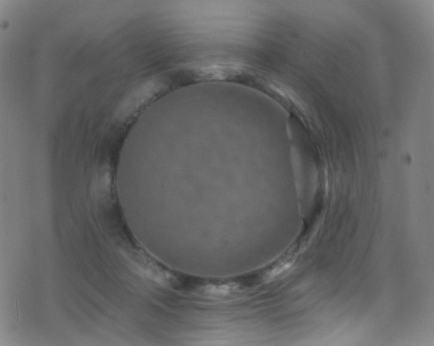 X0000075400314200609081302
