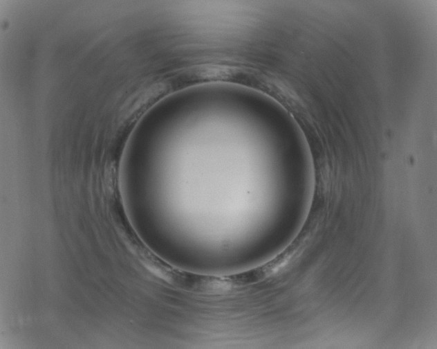 X0000075400325200609081301