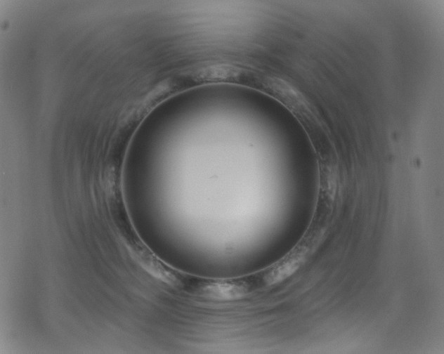 X0000075400326200609081301