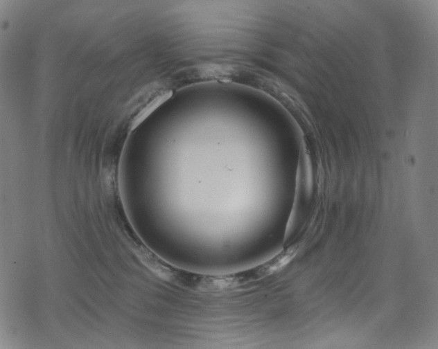 X0000075400329200609081301