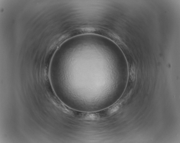 X0000075400330200609081301