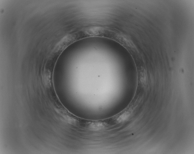 X0000075400332200609081301