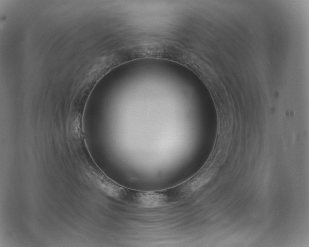 X0000075400336200609081301