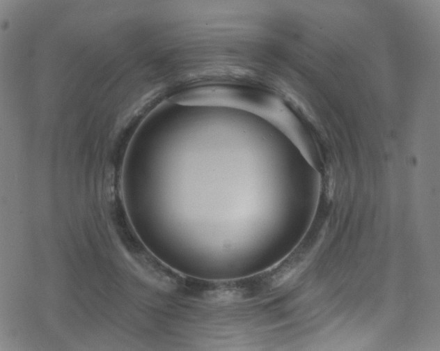 X0000075400356200609081301