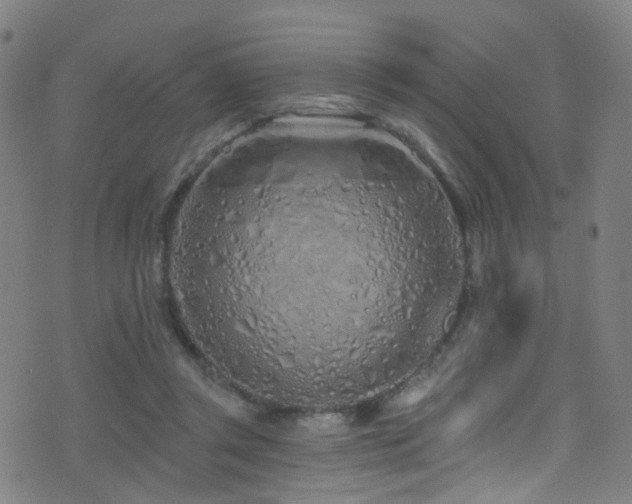 X0000075400357200609081301