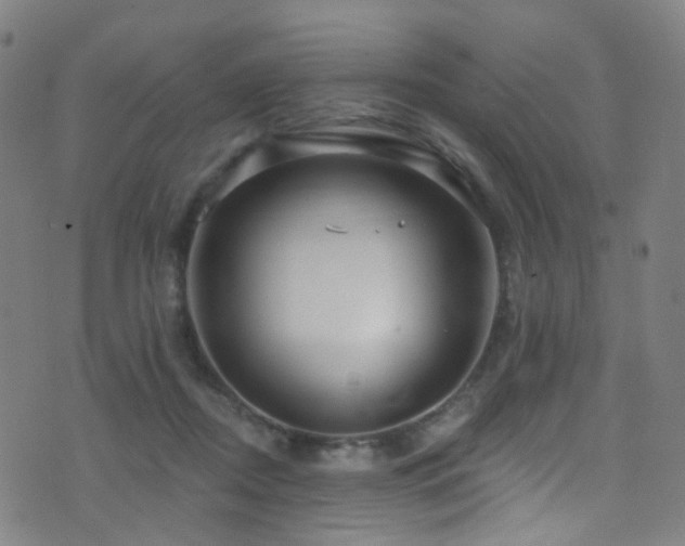 X0000075400362200609081301