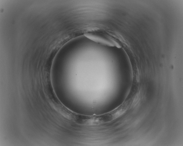 X0000075400366200609081301