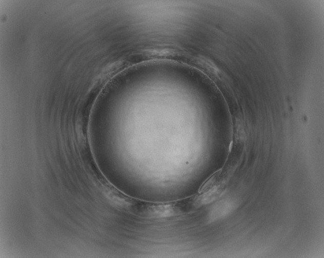 X0000075400377200609081301