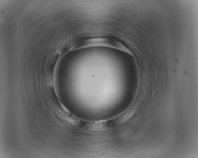 X0000075400384200609081301
