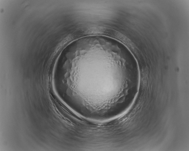 X0000075400386200609081300