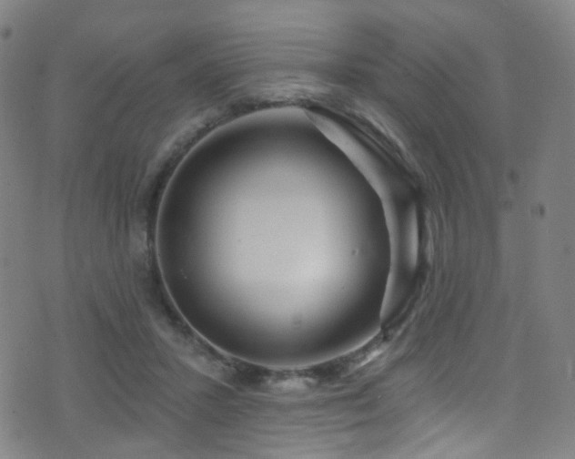 X0000075400407200609081300