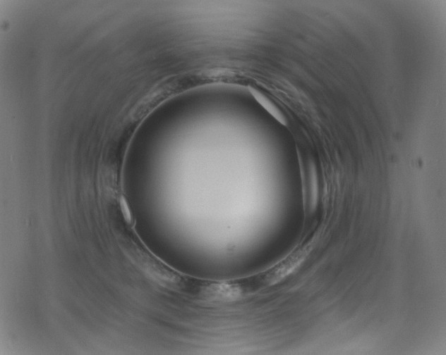 X0000075400421200609081300