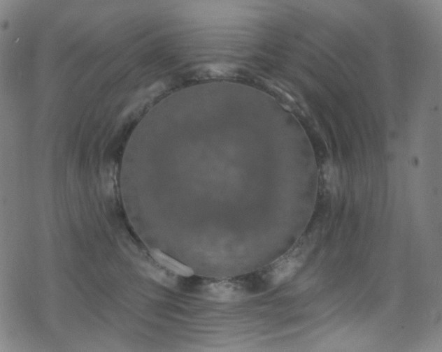 X0000075400423200609081300