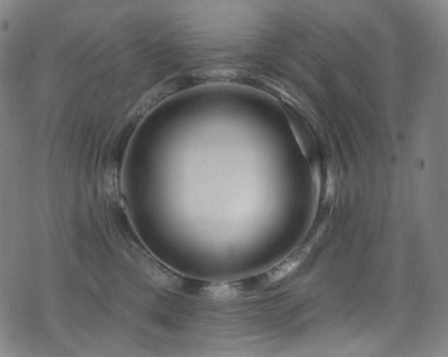 X0000075400425200609081300