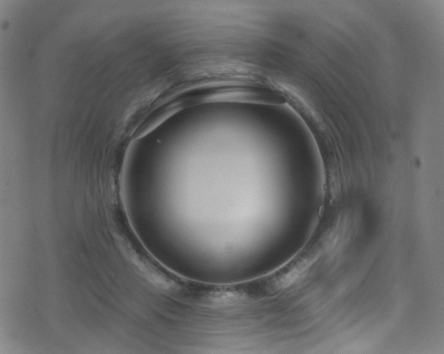 X0000075400453200609081259