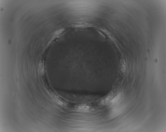 X0000075400471200609081259