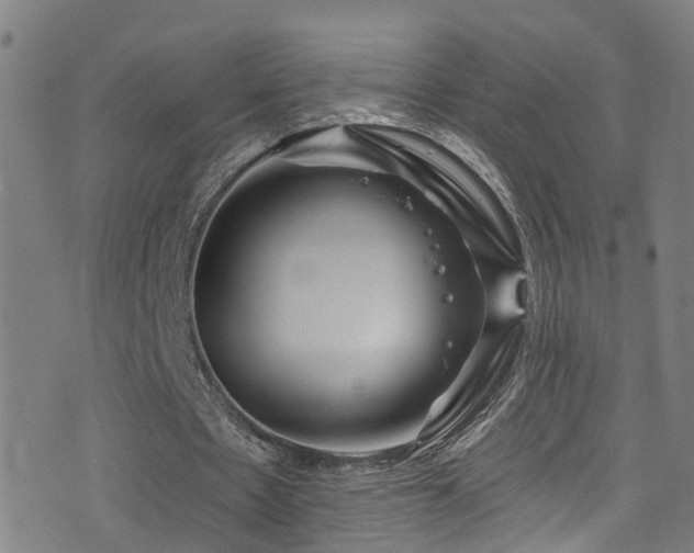 X0000075400481200609081259
