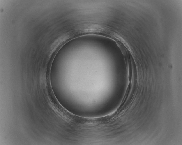 X0000075400482200609081259