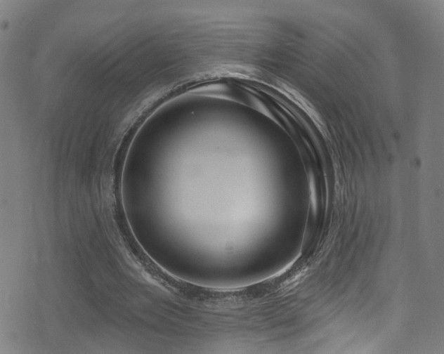 X0000075400485200609081259