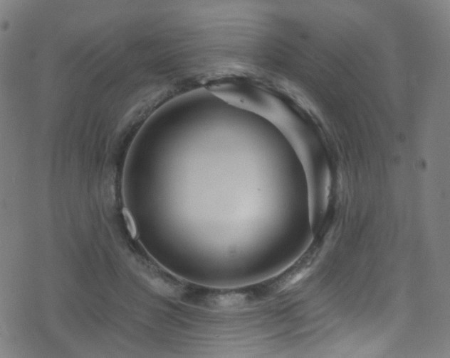 X0000075400501200609081258