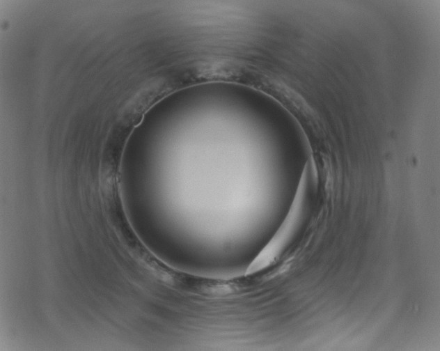 X0000075400513200609081258