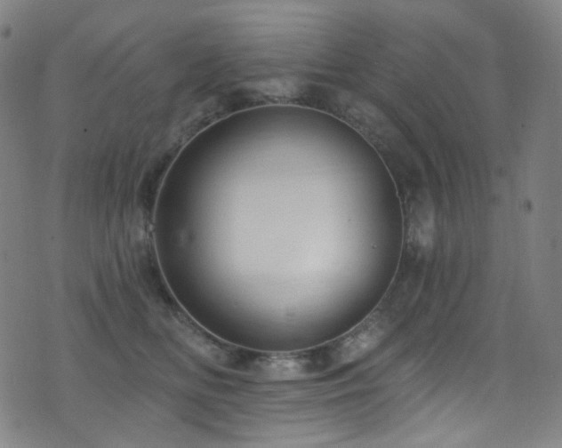 X0000075400518200609081258