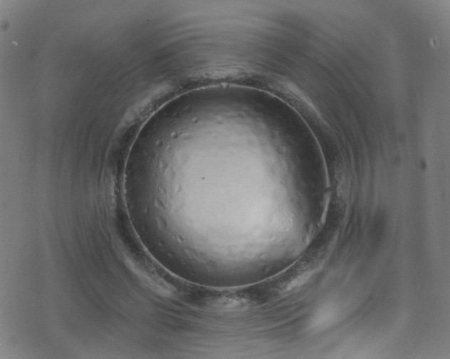 X0000075400542200609081257
