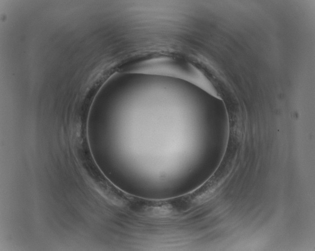 X0000075400548200609081258