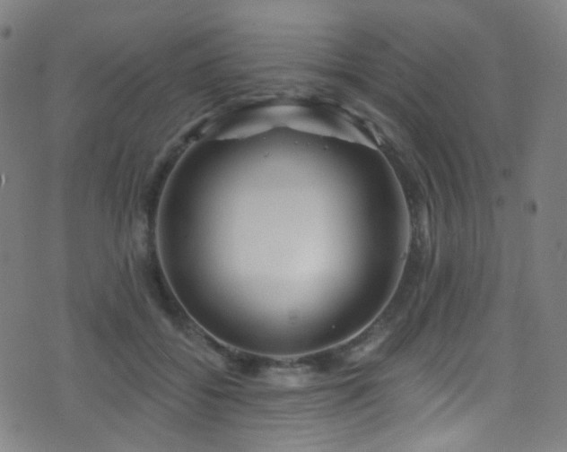 X0000075400556200609081258