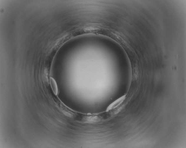 X0000075400575200609081258