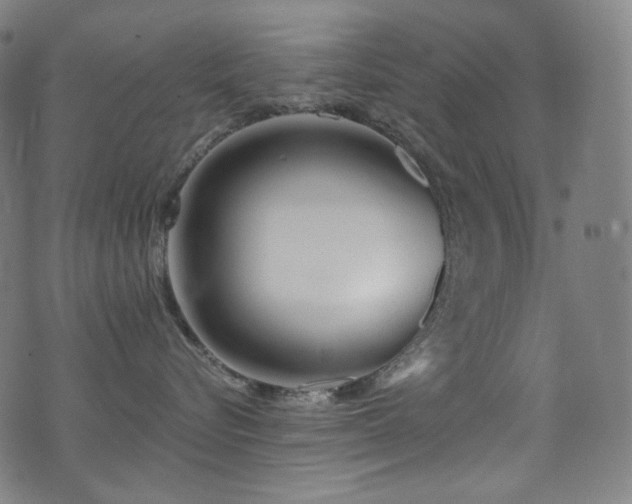 X0000075400576200609081258