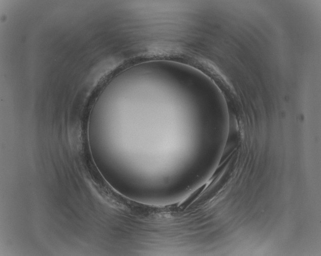 X0000075400588200609081257