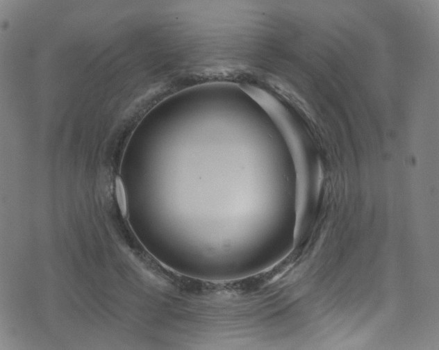 X0000075400593200609081257