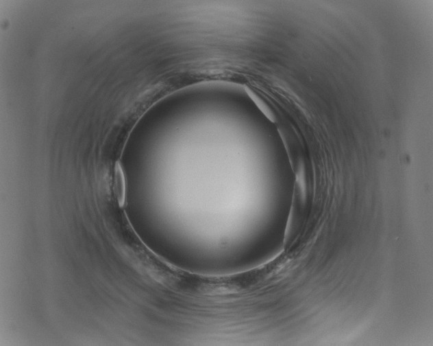 X0000075400597200609081257